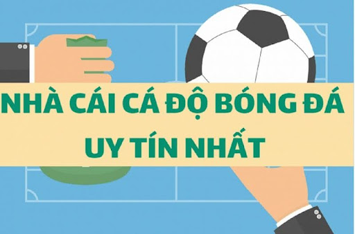 Top những nhà cái uy tín 